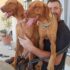 Exceptional wire-haired Vizslas